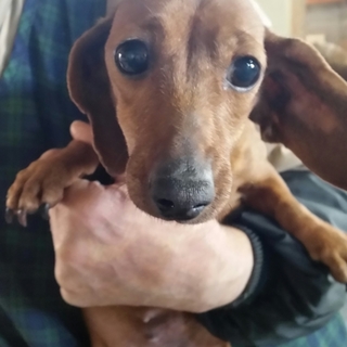 交渉中につき一旦募集を中止にさせて頂きます。