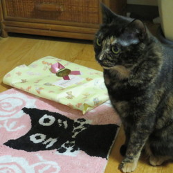 「空飛ぶジャック」サムネイル1