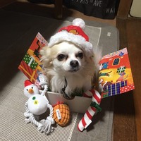 蓮の助