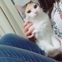 二月生まれ11ヶ月♀