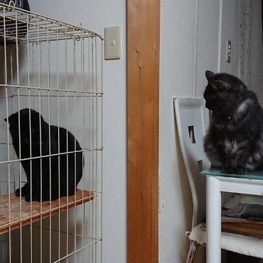 ゲージを挟んでツーショット。扶桑君まだまだ慣れません。