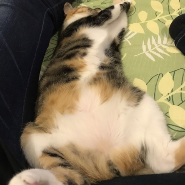 空ひろこのカバー写真