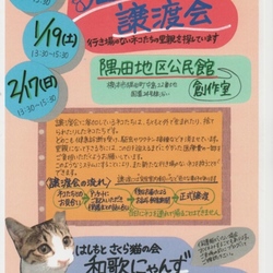 猫の譲渡会 in 橋本市 ♡はしもとさくら猫の会 和歌にゃんず