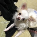 交渉中のため募集停止中です。
