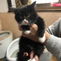 くつ下をはいたモフモフ☆ジュラちゃん