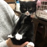 くつ下をはいたモフモフ☆ジュラちゃん サムネイル2