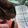 ３回の手術を乗り切った元気なイケメン君 サムネイル3
