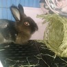 ３回の手術を乗り切った元気なイケメン君 サムネイル2