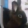 ３回の手術を乗り切った元気なイケメン君 サムネイル4