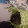 ３回の手術を乗り切った元気なイケメン君 サムネイル5