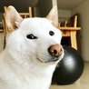 の写真