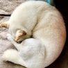 の写真