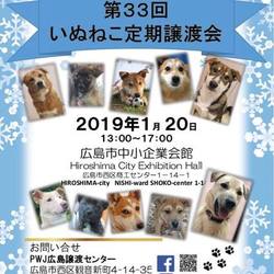第33回いぬねこ定期譲渡会～in広島市～