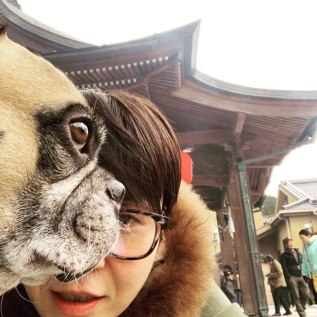イギラブのカバー写真