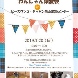 第2回わんにゃん譲渡会in岡山市