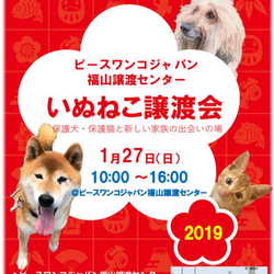 いぬねこ譲渡会in福山市
