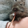 めぐ9979 さん
