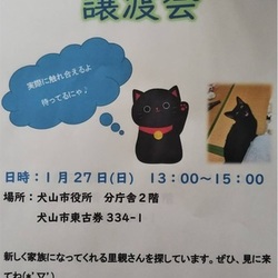 福猫の里 犬山 猫 あさひねこのイベント 6323 ペットのおうち 月間利用者150万人
