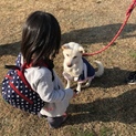 8キロ 8歳小ぶりなユウちゃん優しく性格花マルです