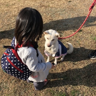 8キロ 8歳小ぶりなユウちゃん優しく性格花マルです
