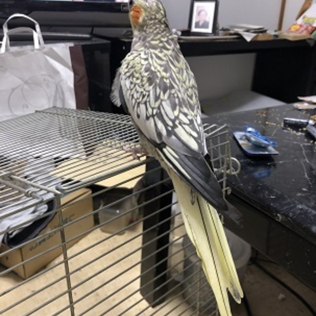 かずやのカバー写真