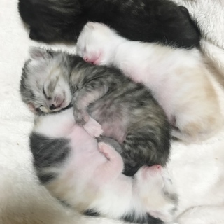 仲良し４人兄弟姉妹！