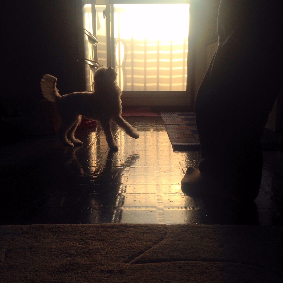 ゆき♡のカバー写真