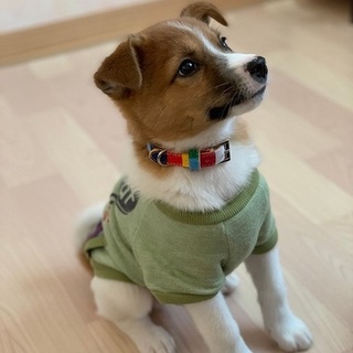 ☆天真爛漫★甘えっこ★としちゃん☆