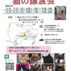 いつもへそ天　猫の譲渡会 サムネイル1