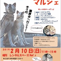犬猫譲渡会＆マルシェ