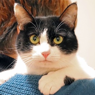 ゴロスリ！ちゅらくん