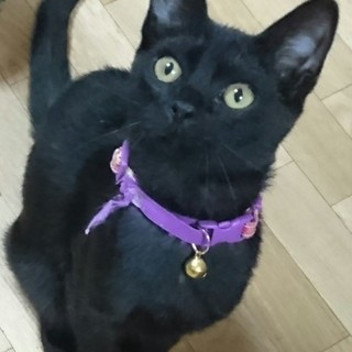 ステキなステちゃん❤