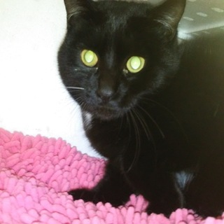 ありがとうございました！