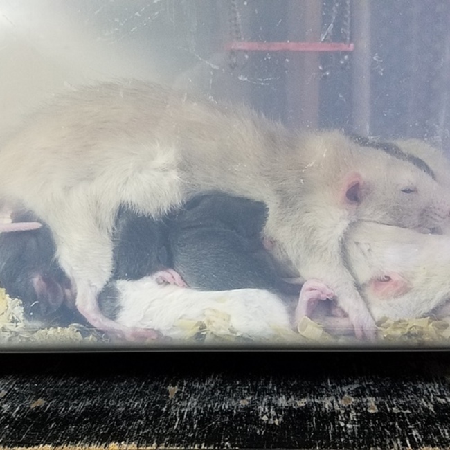 Kちはるのカバー写真