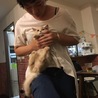 ぱろこさん
