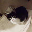 優しいなぎちゃん