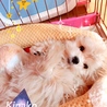 寝てるとこ、失礼しまーす