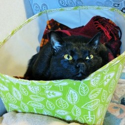 「クーちゃんは天邪鬼？」サムネイル1