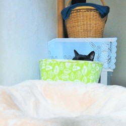 「クーちゃんは天邪鬼？」サムネイル2