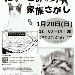 千葉市　にゃんこの家族さがし