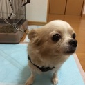 可愛がってくれる方