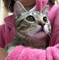 抱っこ大好き構ってちゃん