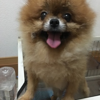 可愛がってくれる方