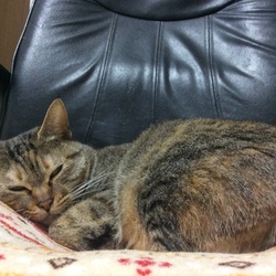 かなりショックが大きいです…