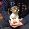 サン8さん