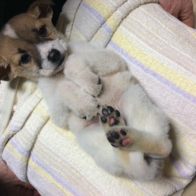 サン8のカバー写真