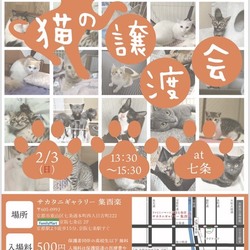 猫の譲渡会＠京都 サムネイル1