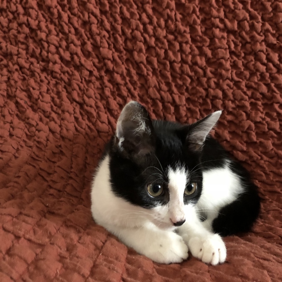 長田 幸のカバー写真