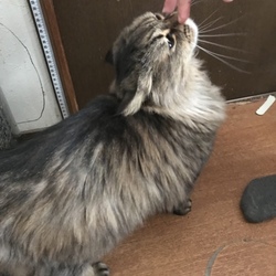 朝から元気いっぱい