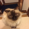 の写真